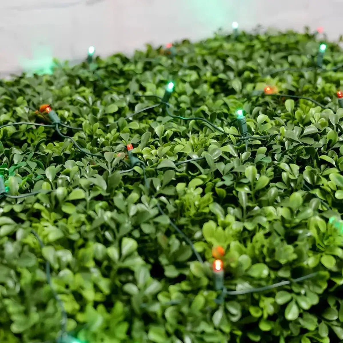 Shop For 5mm 4' x 6' Red, Green LED Net Lights