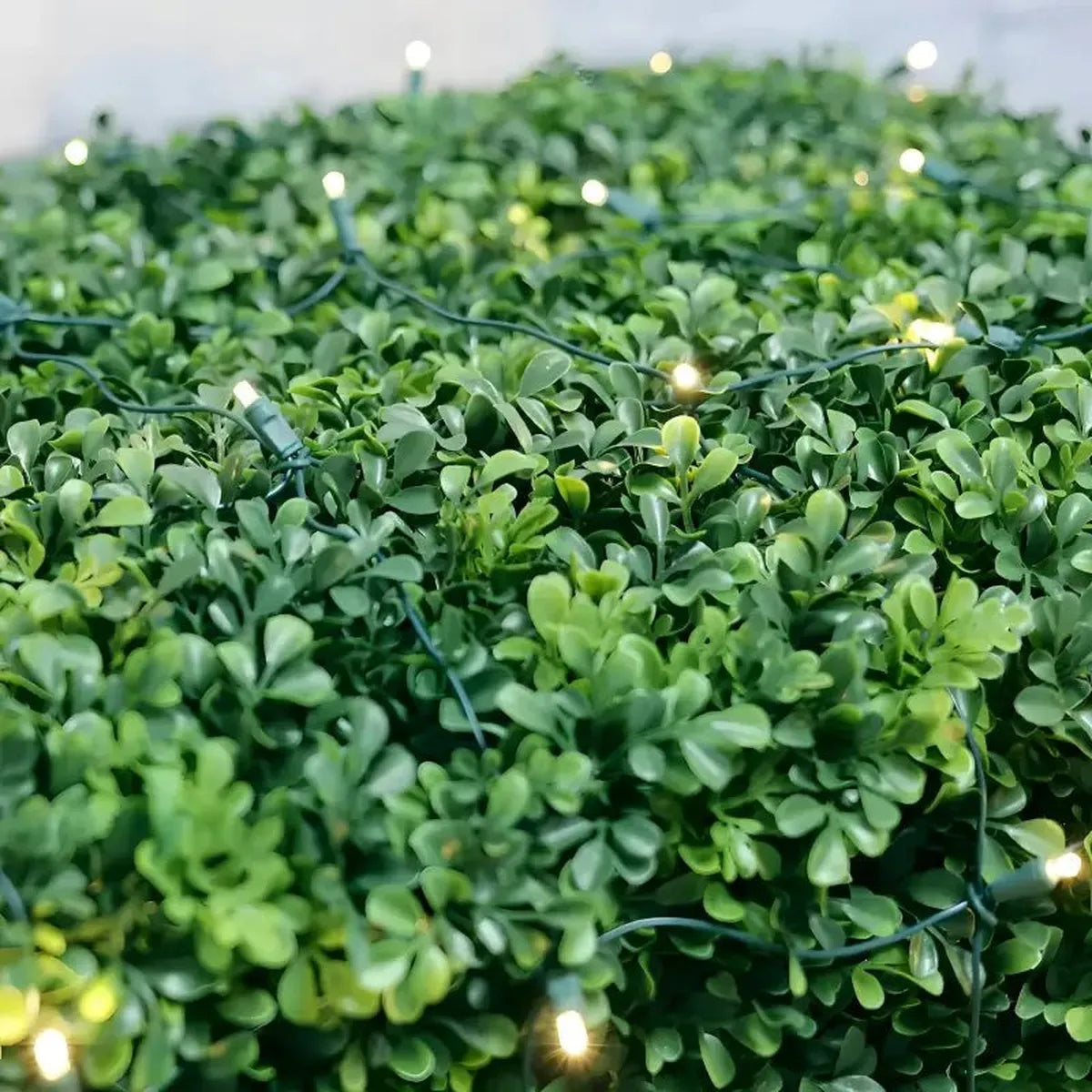 Shop For 5mm 4' x 6' Warm White Twinkle LED Net Lights