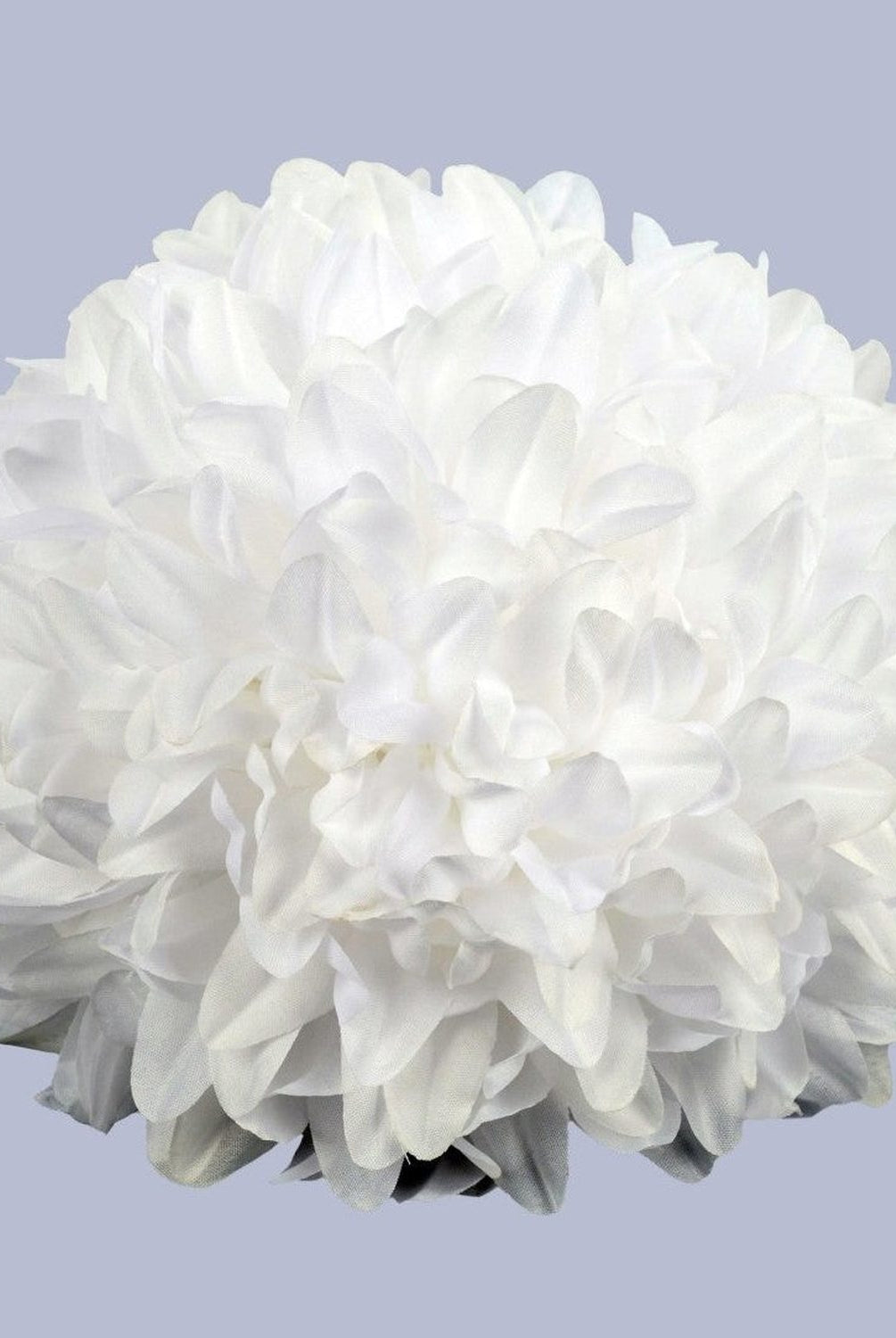 Shop For 7.5in Homecoming Mum Flower: White