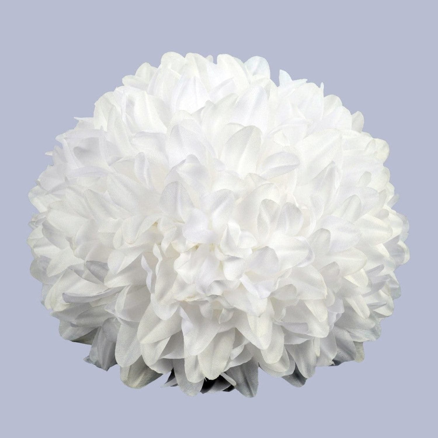 Shop For 7.5in Homecoming Mum Flower: White