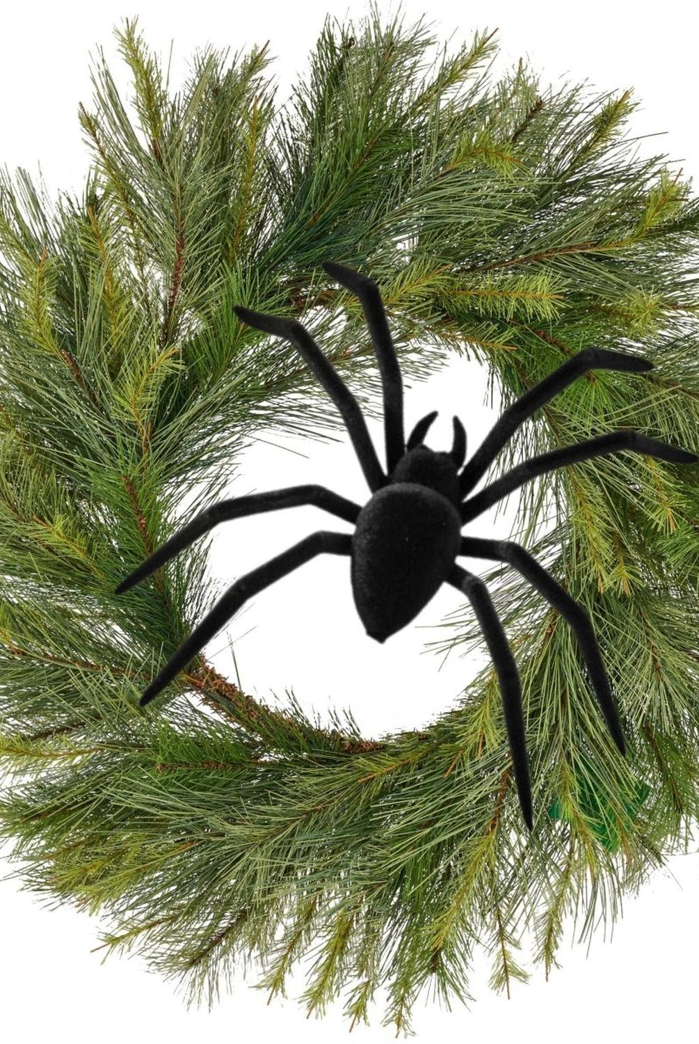 8" Black Flocked Spider