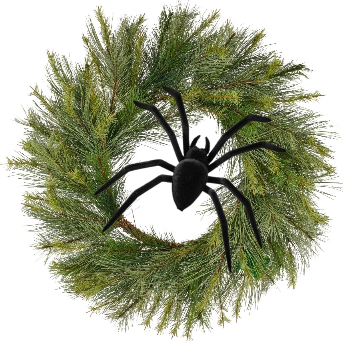 Shop For 8" Black Flocked Spider