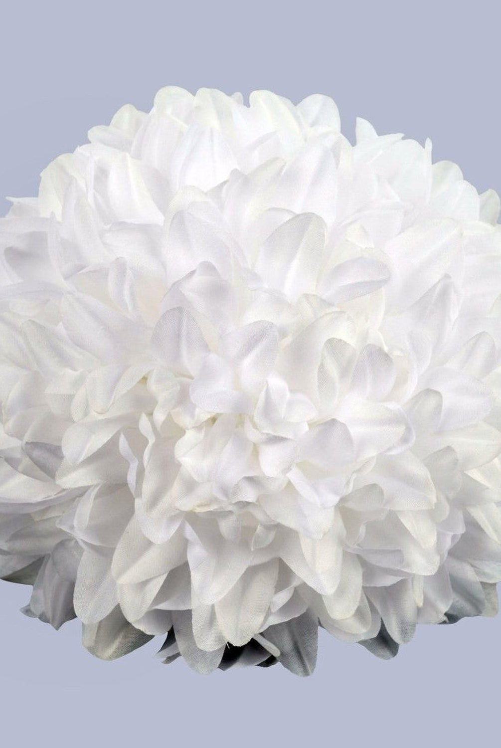 Shop For 9.5in Homecoming Mum Flower: White