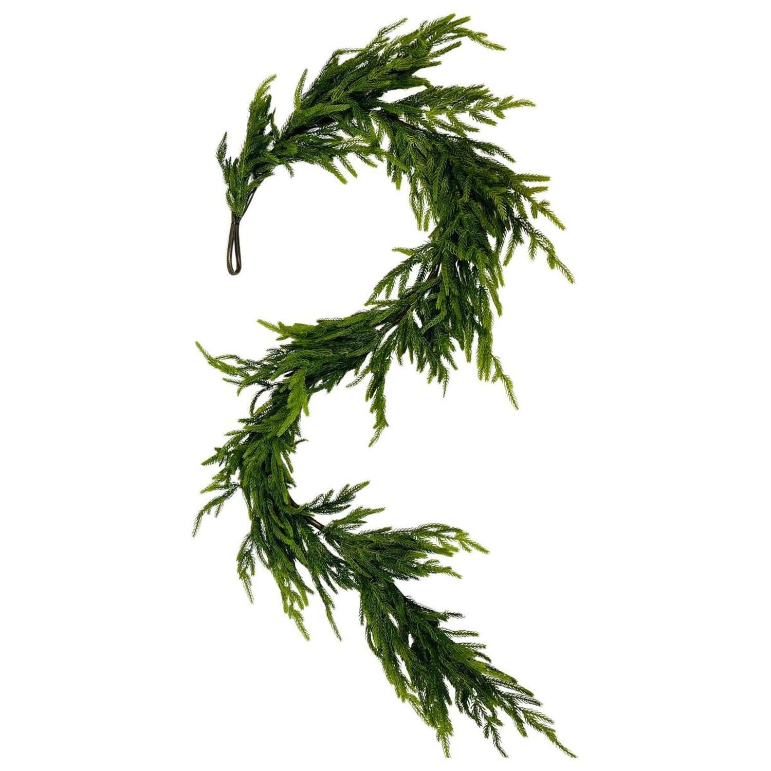 Shop For Artificial 6' Norfolk Pine Garland