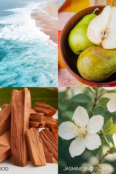 Shop For Calming Peace & Joy Candle