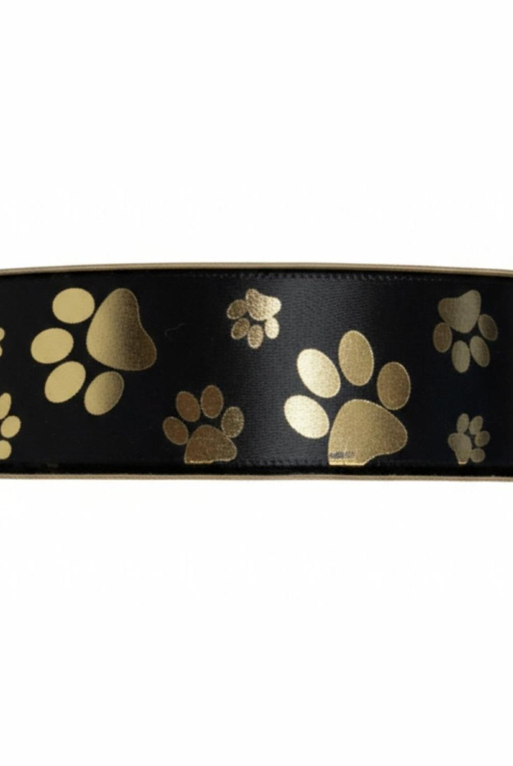 Shop For Cascading Paws Homecoming Ribbon: (Black/Gold), Size 9