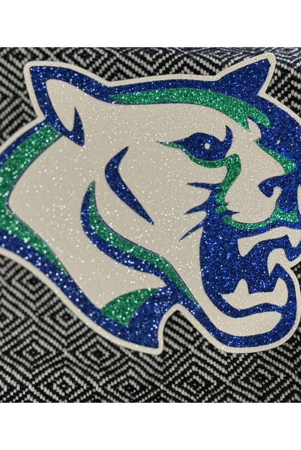 Shop For Compass Academy Cougars Homecoming Cutout
