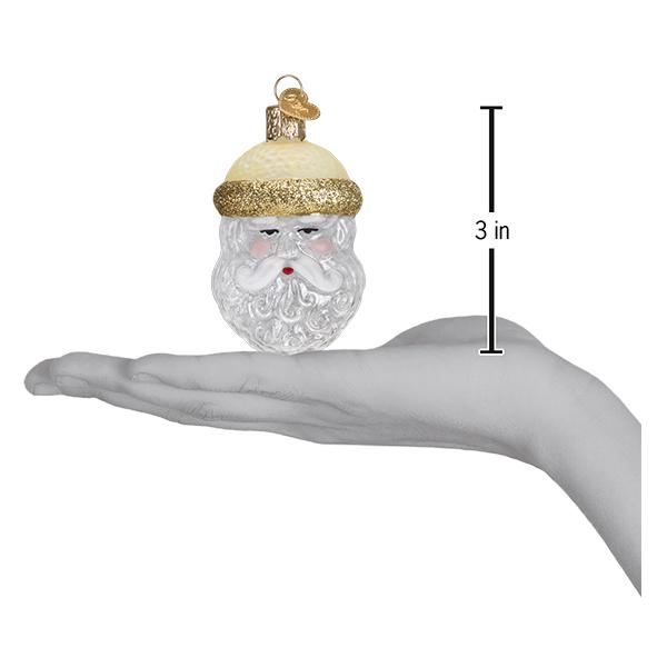 Shop For Crystal Santa Ornament
