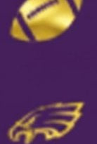 Shop For Eagle/Hawk Homecoming Ribbon: (Purple/Gold), Size 9