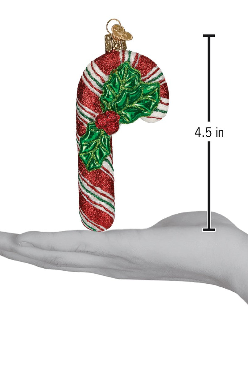 Shop For Glistening Candy Cane Ornament