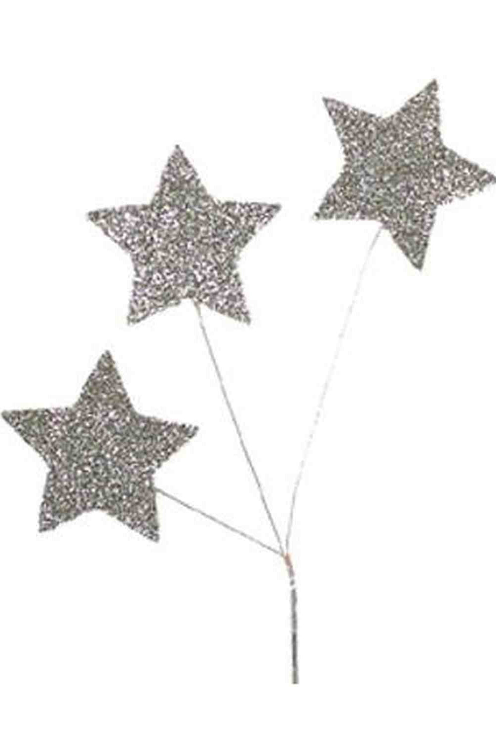 Shop For Homecoming Star Glitter Spray: Silver