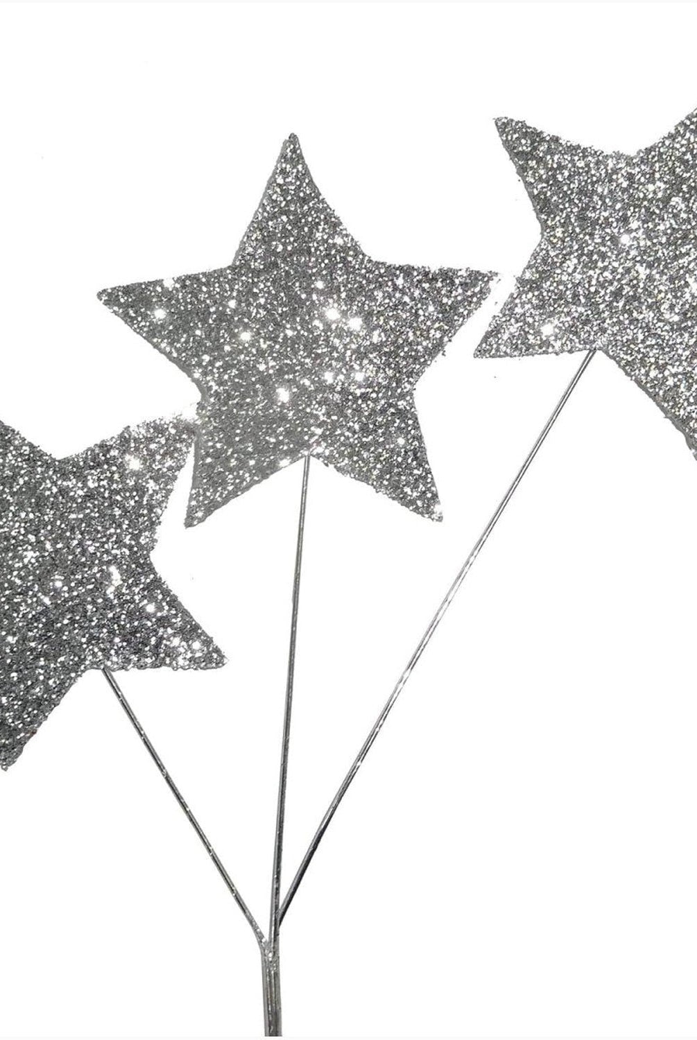 Shop For Homecoming Star Glitter Spray: Silver