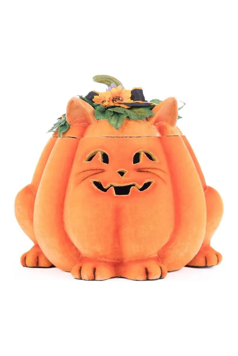 Shop For Jackie The Kitty Cat Pumpkin Candy Container