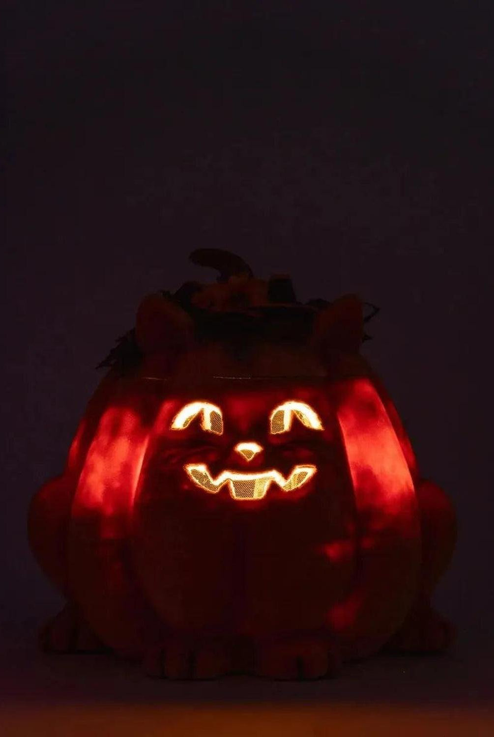 Shop For Jackie The Kitty Cat Pumpkin Candy Container