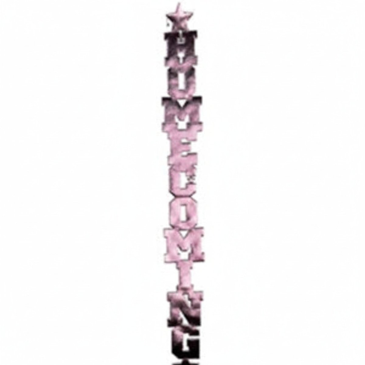 Shop For Metallic Vinyl Puffy Homecoming Garland