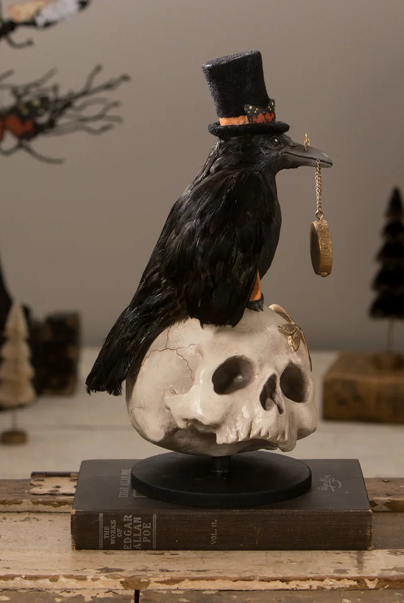 Shop For Midnight Crow On Skull