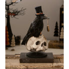Shop For Midnight Crow On Skull