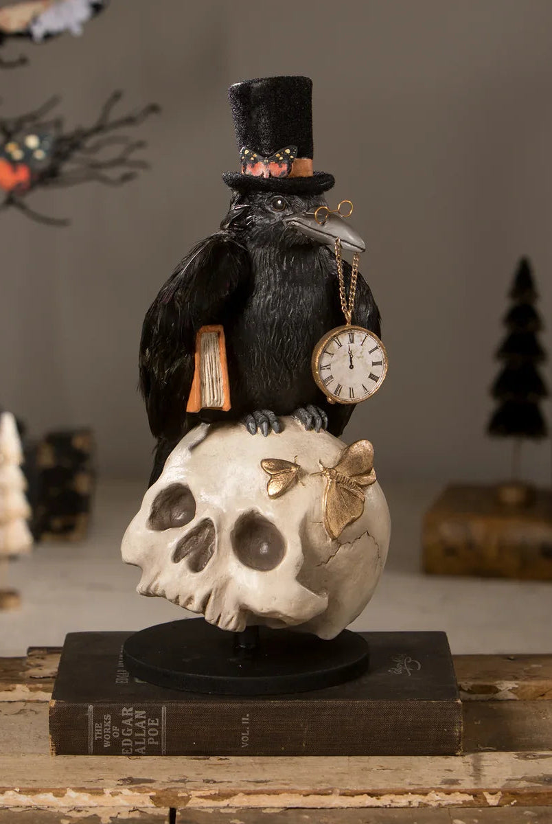 Shop For Midnight Crow On Skull