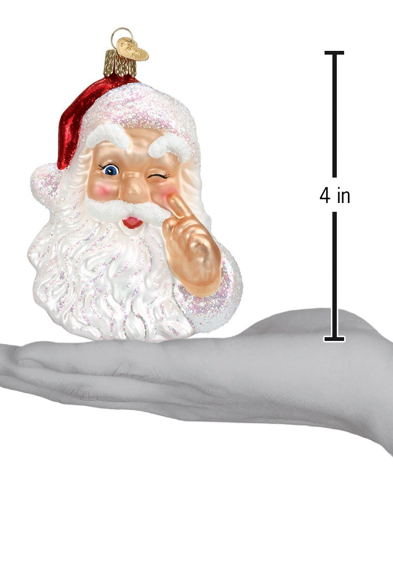 Shop For Night Before Christmas Santa