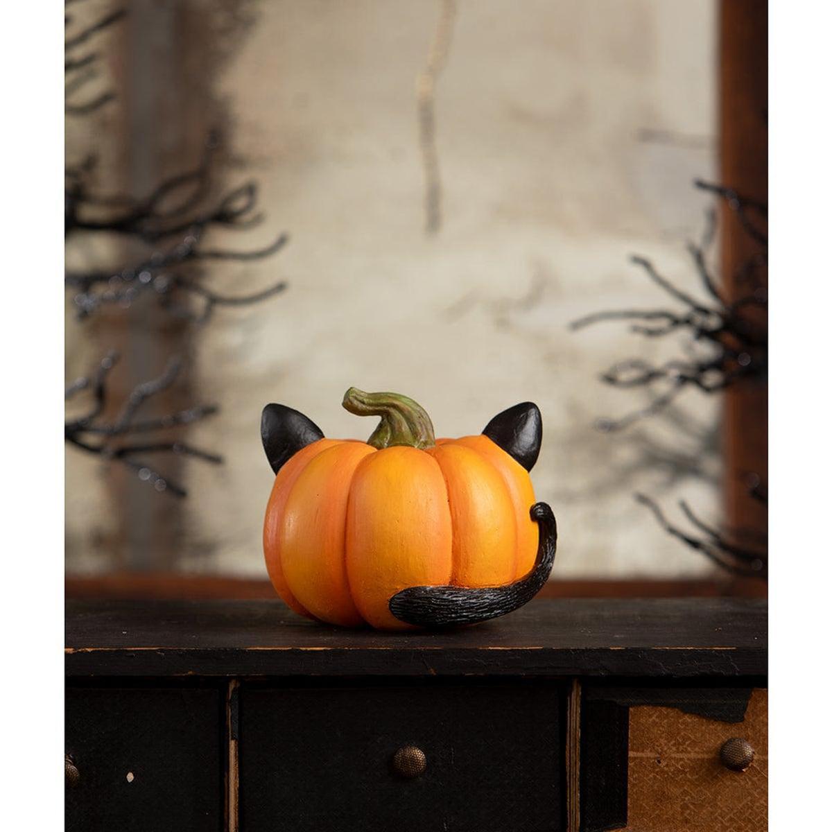 Shop For Pumpkin Cat Luminary