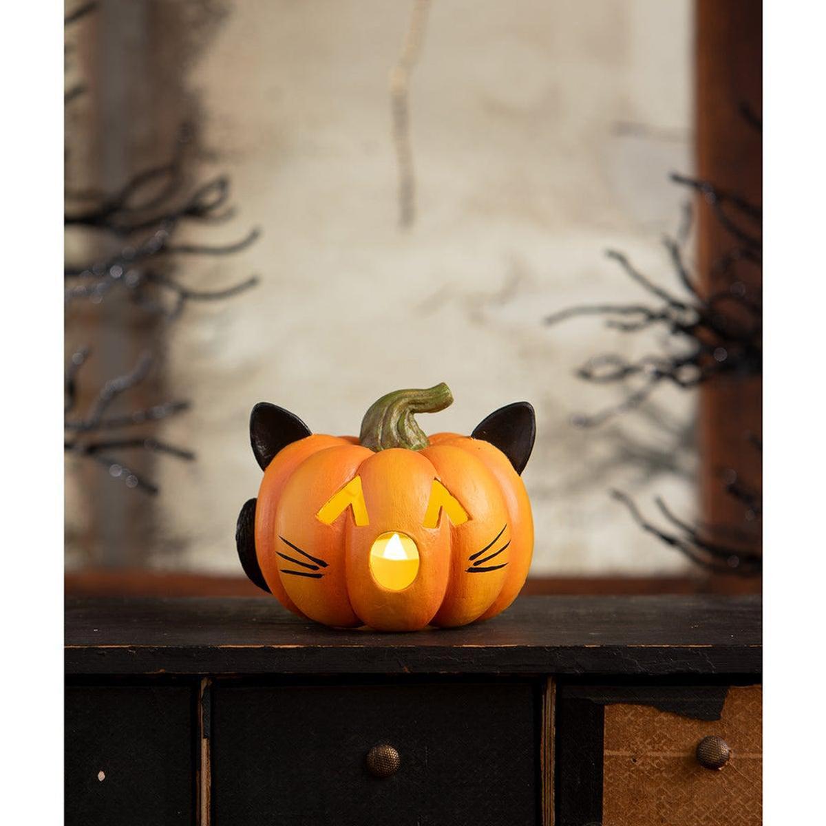Shop For Pumpkin Cat Luminary