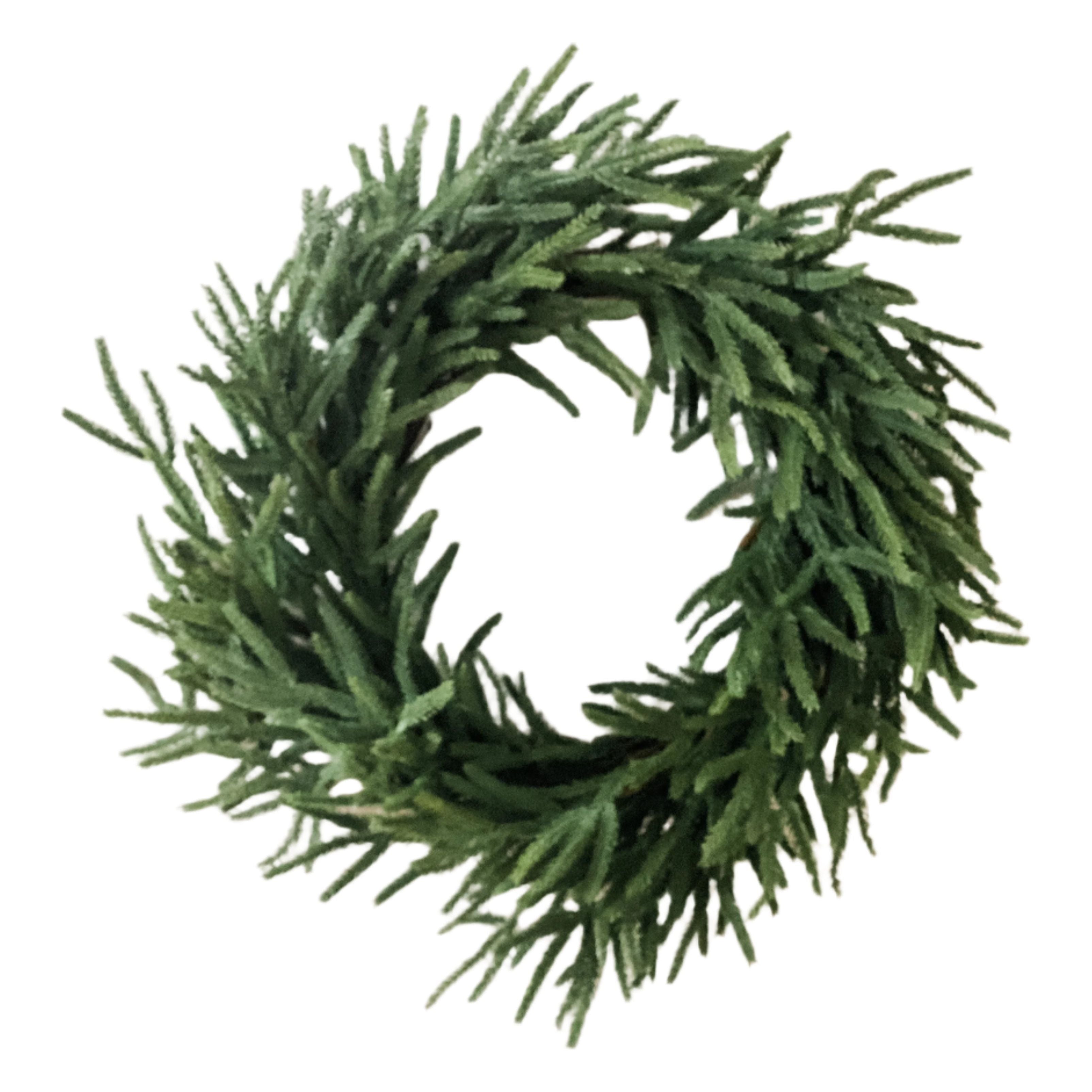 Shop For Real Touch Norfolk Pine Wreath