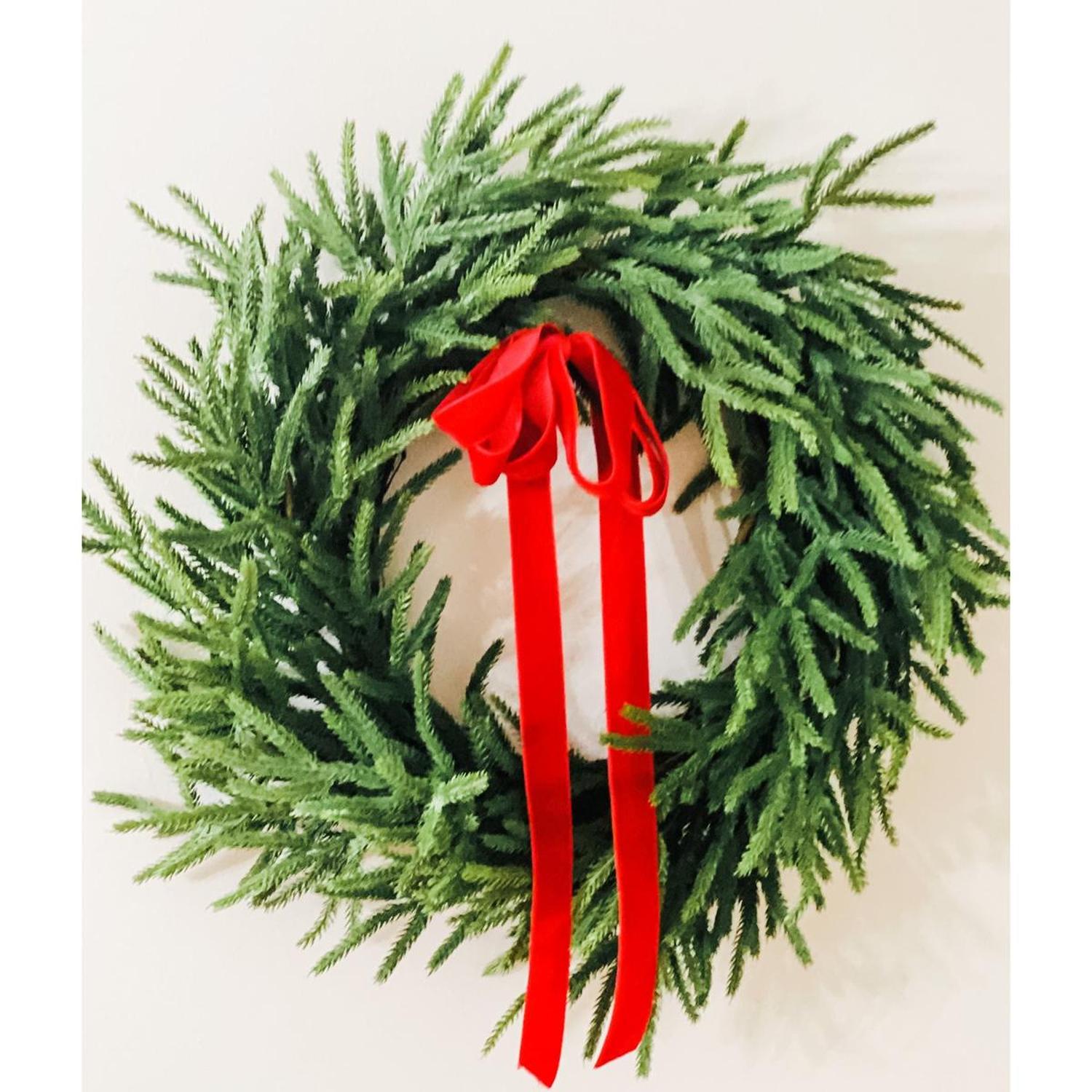 Shop For Real Touch Norfolk Pine Wreath