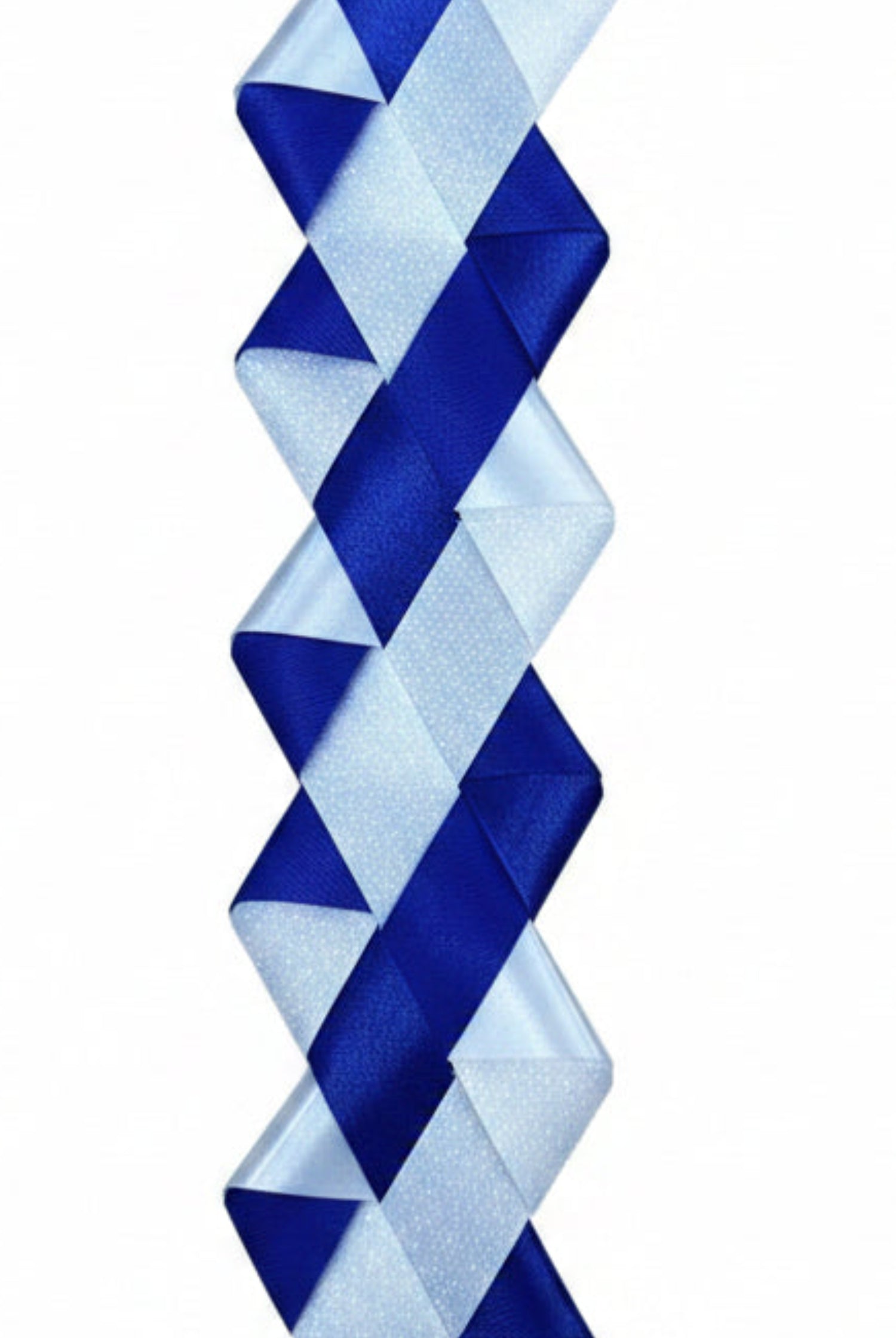 Shop For Texas Diamond Dust Braid 3