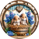 Shop For Welcome Spring Bluebonnet Bunny Sign