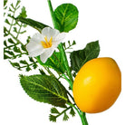 Shop For 10" Mixed Greenery Lemon Floral Stem Pick at Michelle's aDOORable Creations