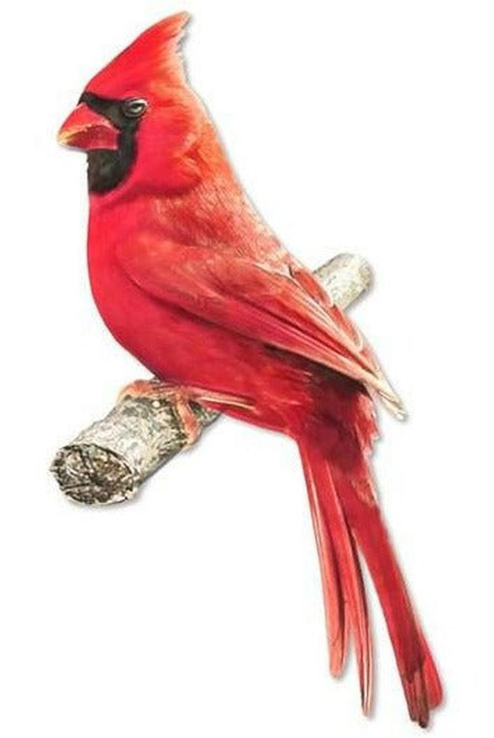 10.5" Metal Embossed Cardinal on Branch