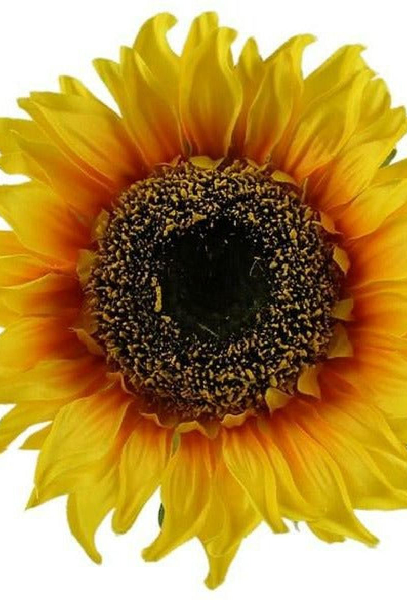 Shop For 11" Sunflower Head at Michelle's aDOORable Creations