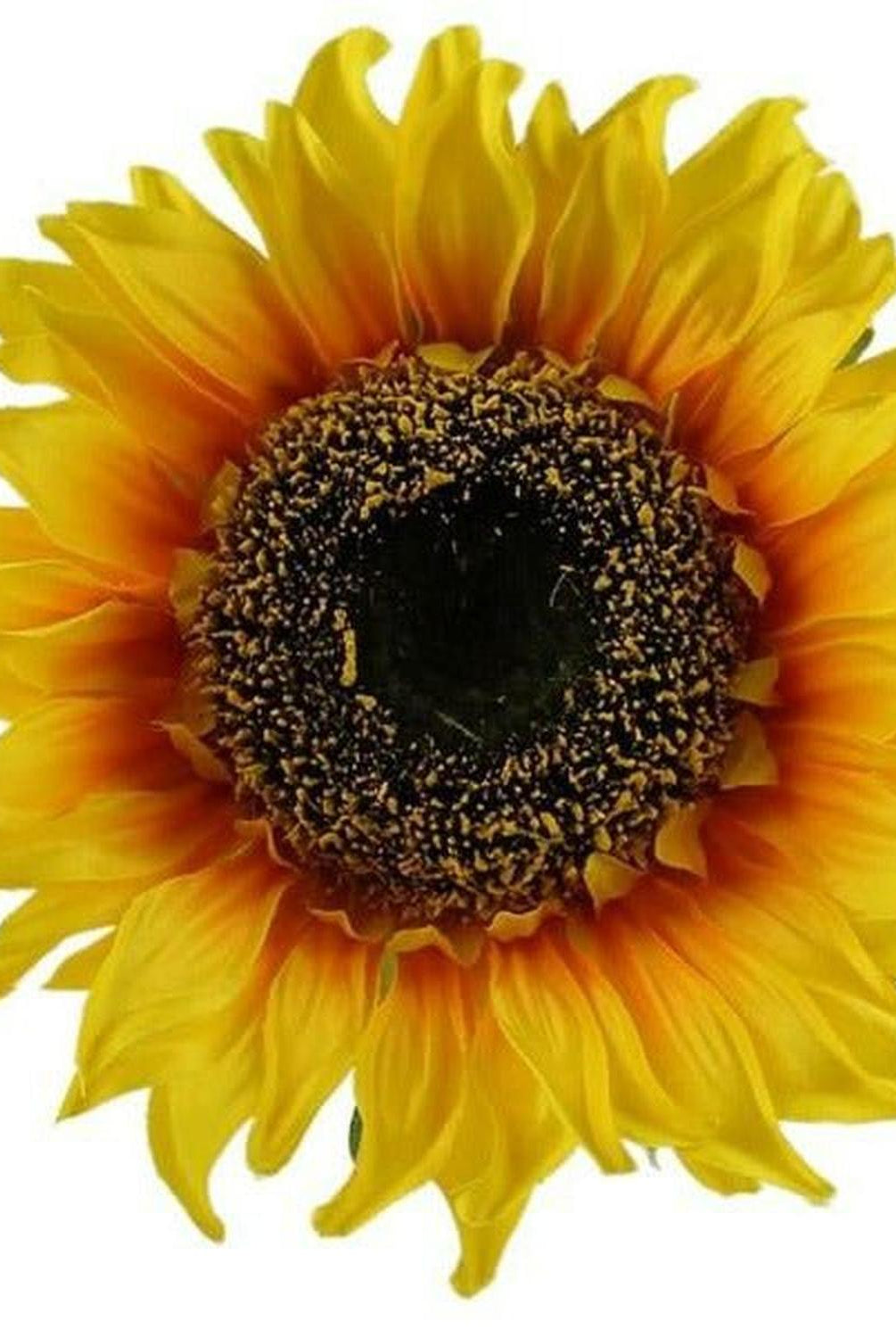 Shop For 11" Sunflower Head at Michelle's aDOORable Creations