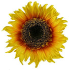 Shop For 11" Sunflower Head at Michelle's aDOORable Creations