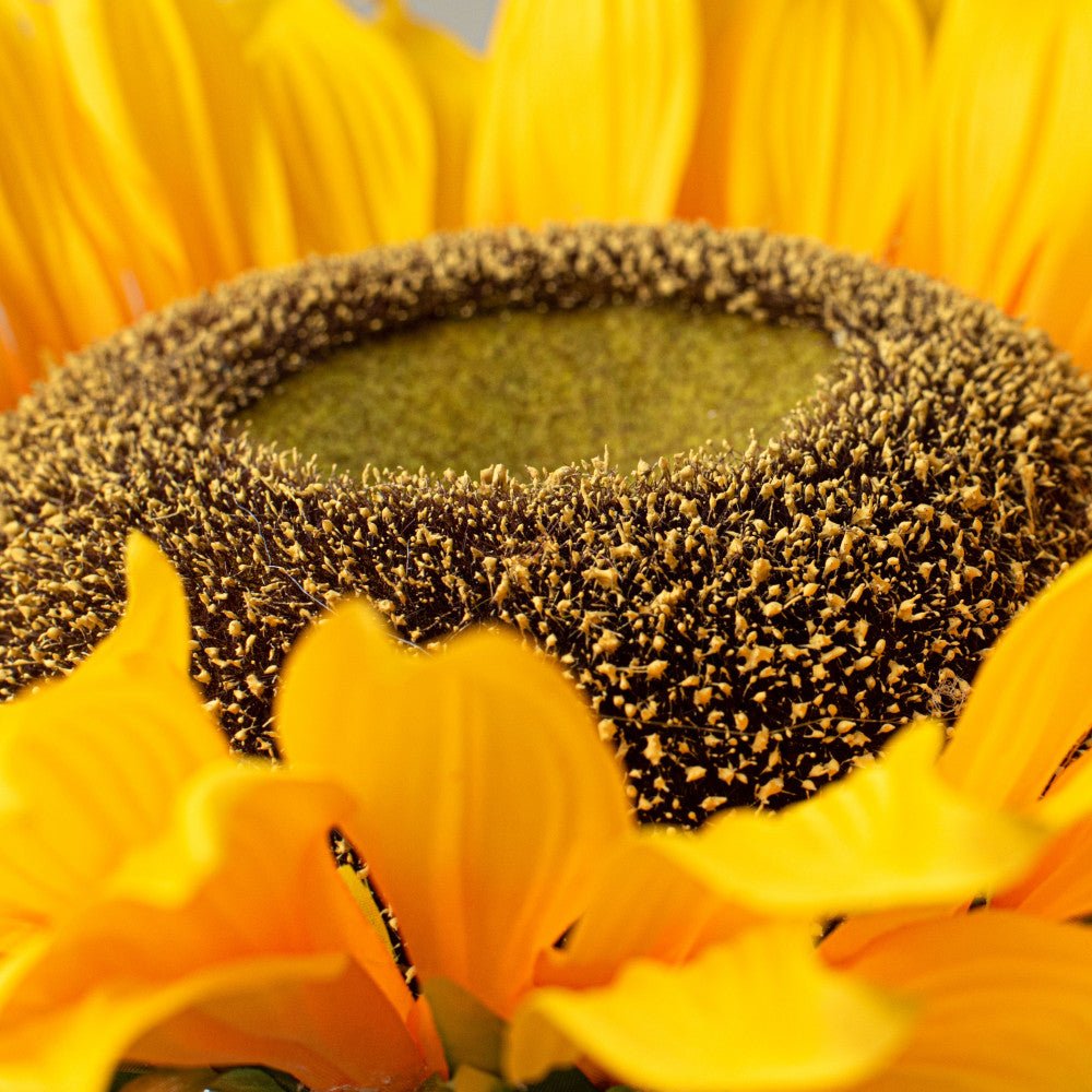 Shop For 11" Sunflower Head at Michelle's aDOORable Creations