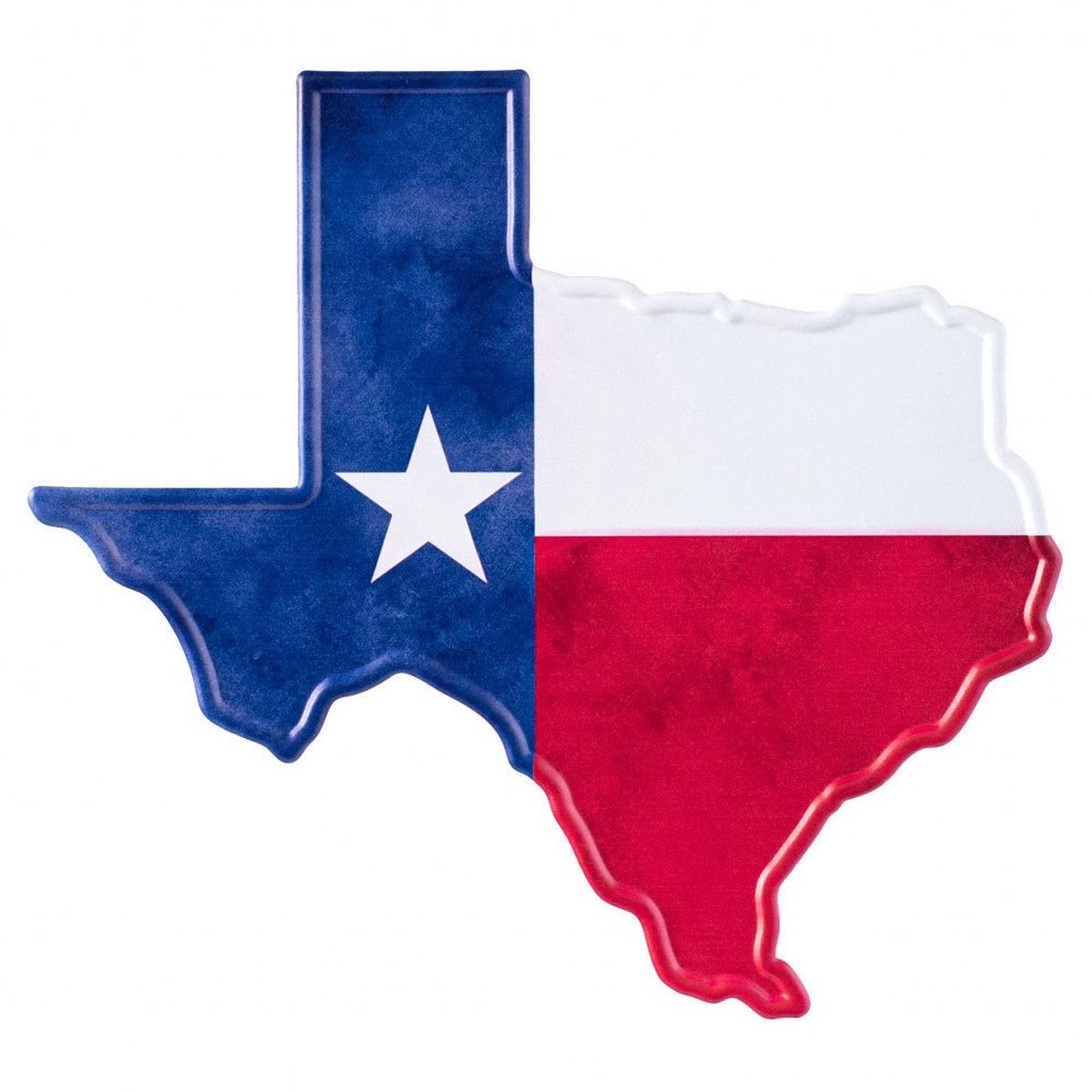 Shop For 12" Metal Embossed Hanger: Texas Flag at Michelle's aDOORable Creations