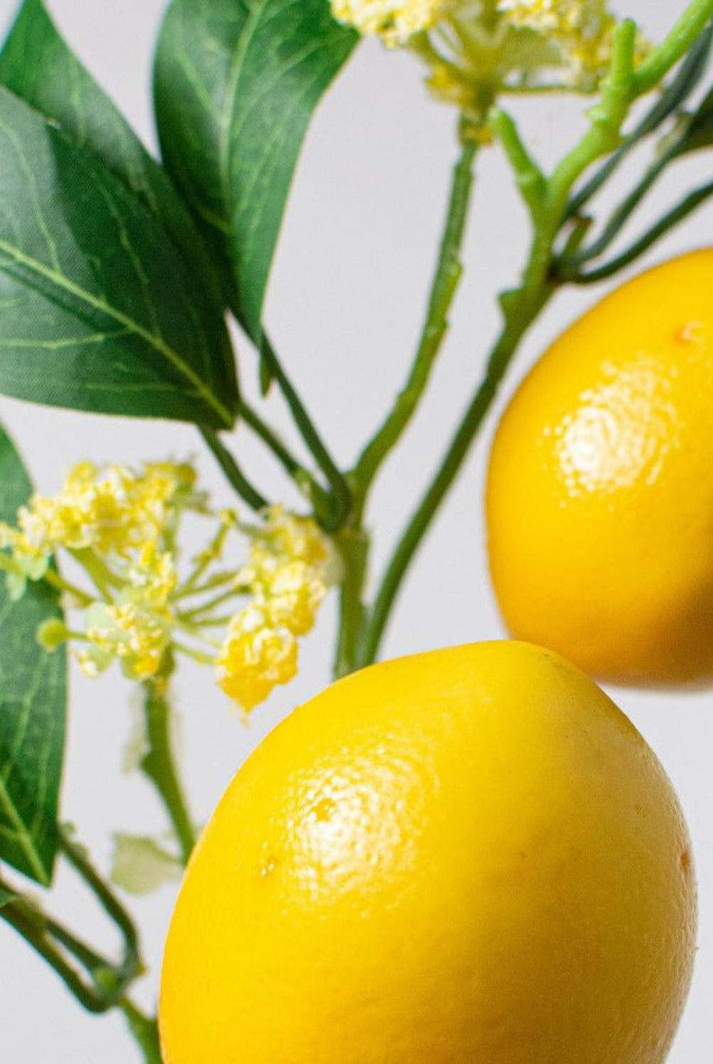 Shop For 13" Lemon Leaf Spray at Michelle's aDOORable Creations