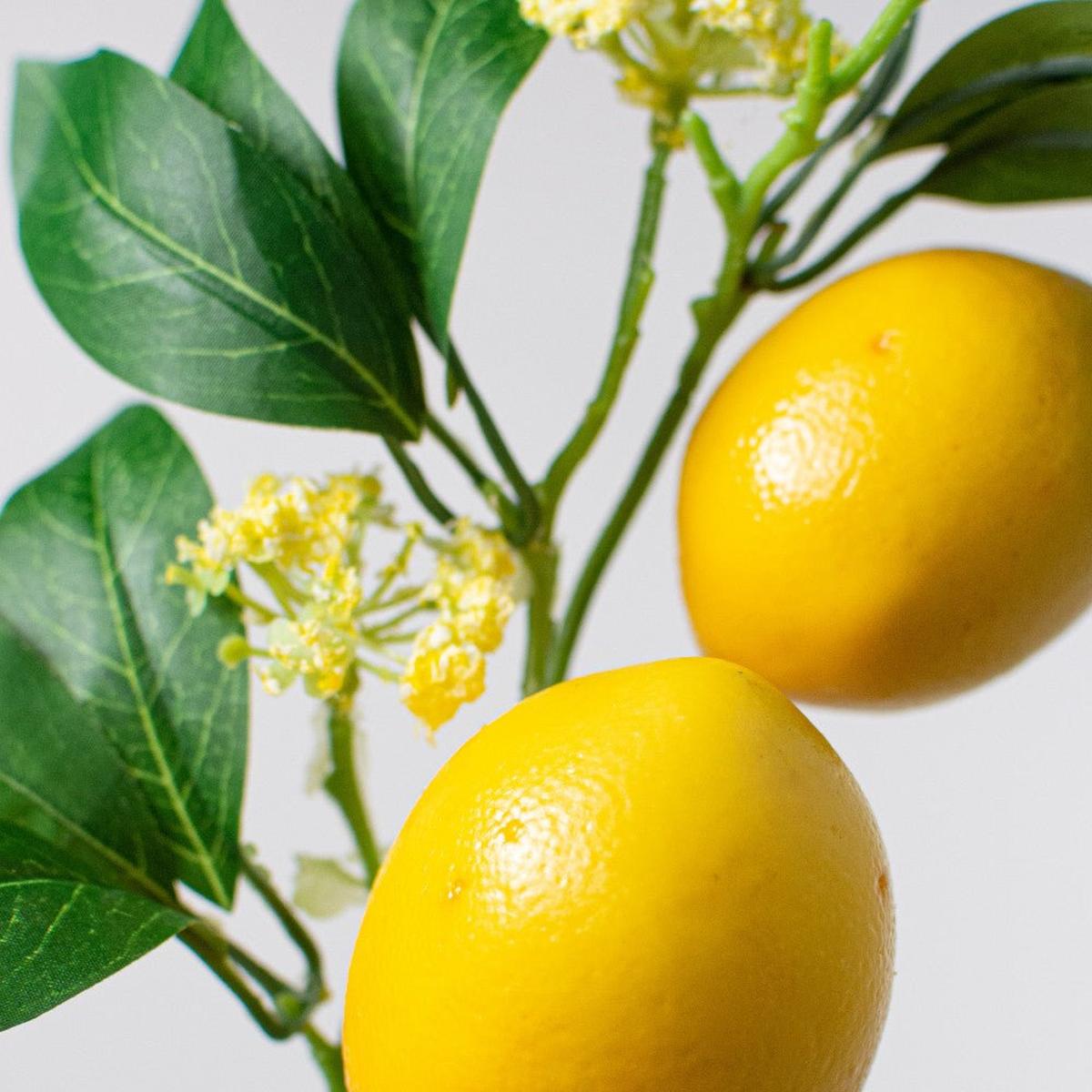 Shop For 13" Lemon Leaf Spray at Michelle's aDOORable Creations