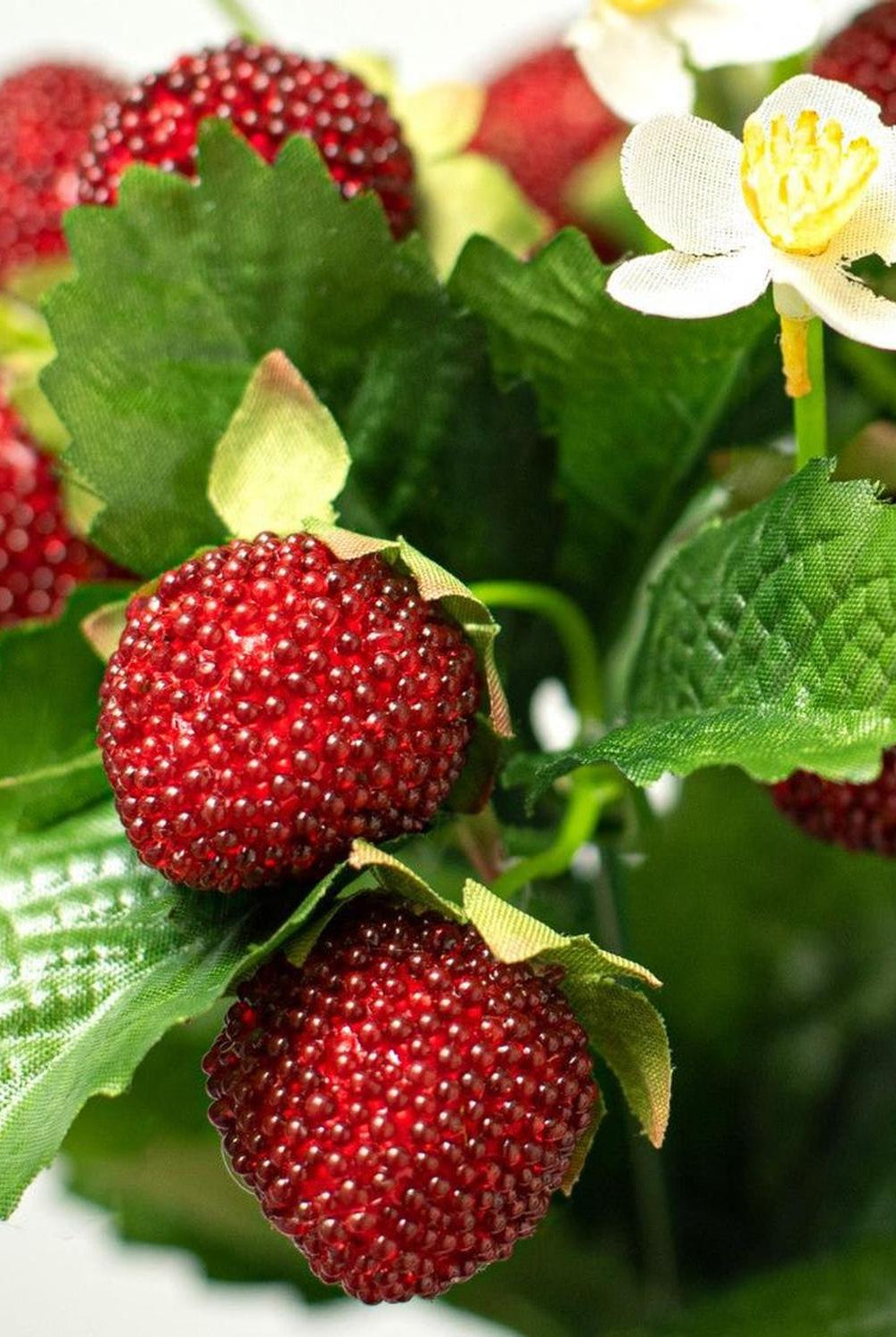 13" Strawberry & Fern Bush