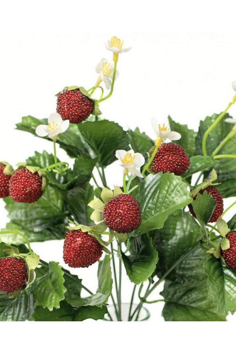 13" Strawberry & Fern Bush