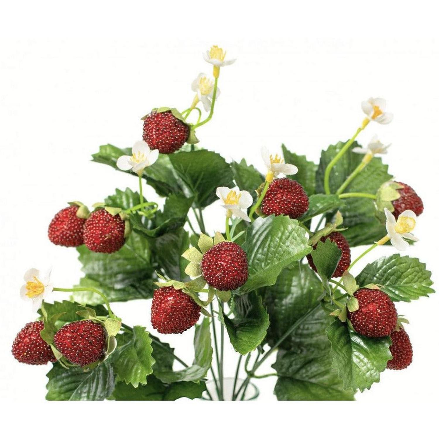 Shop For 13" Strawberry & Fern Bush at Michelle's aDOORable Creations