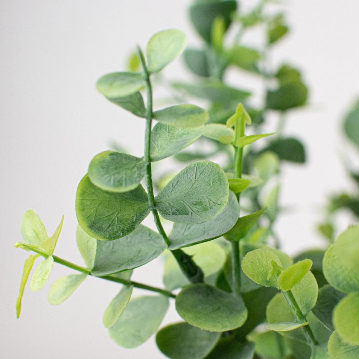 Shop For 16.5" Eucalyptus Bush at Michelle's aDOORable Creations