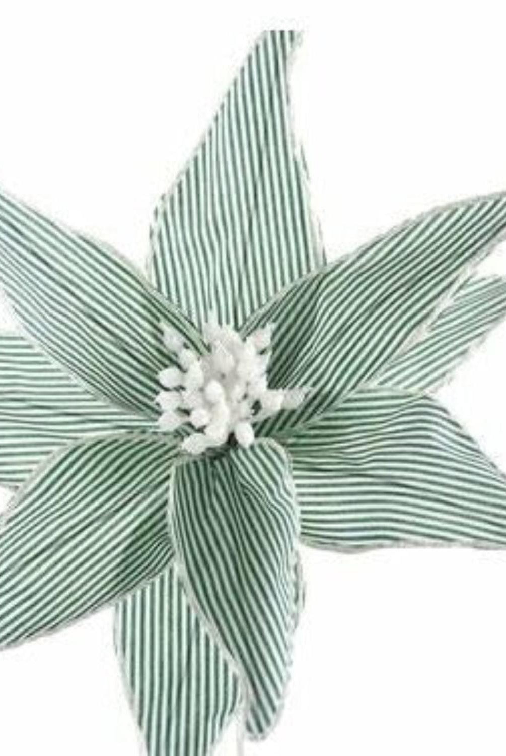 20" Canvas Striped Poinsettia: Dark Green