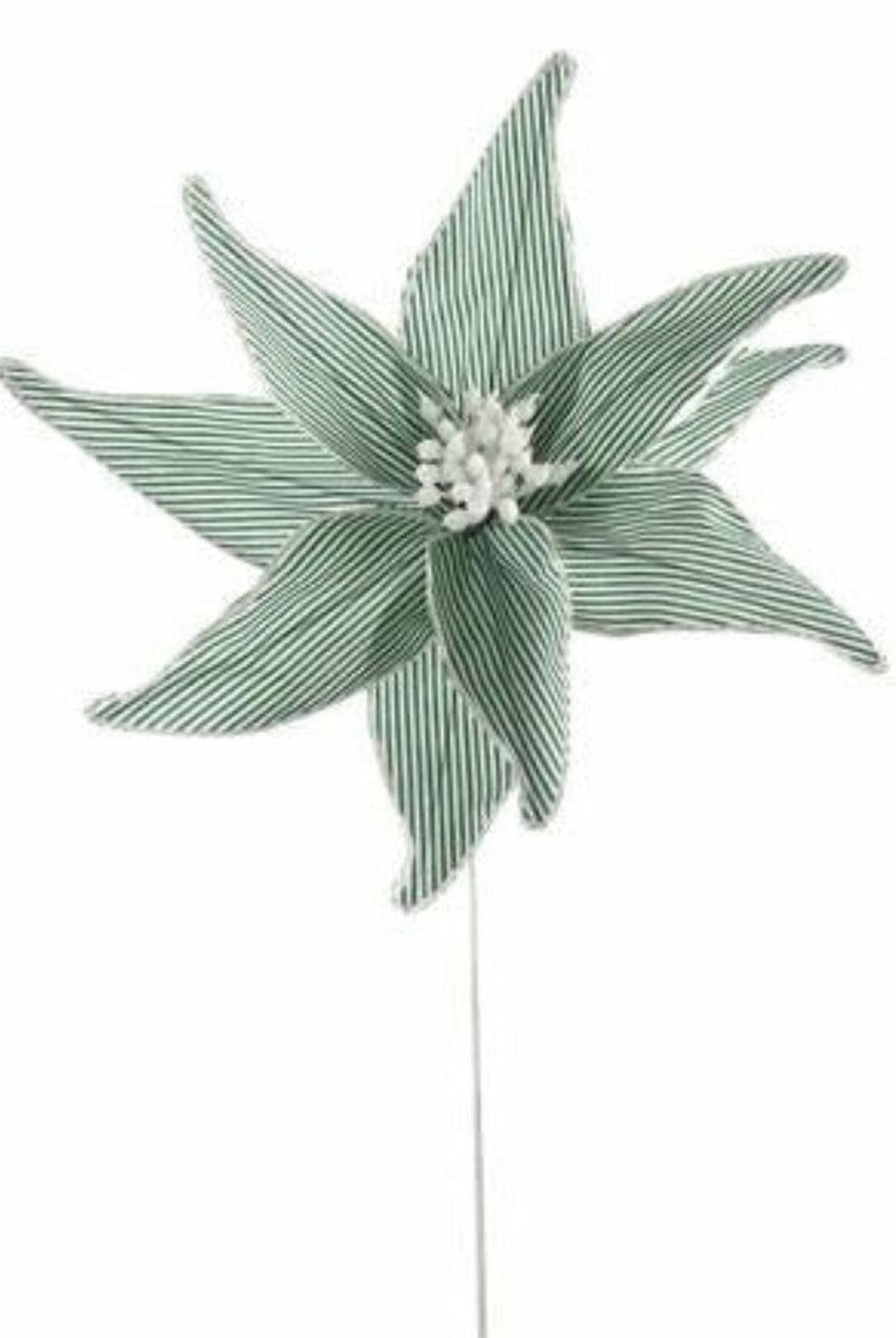 20" Canvas Striped Poinsettia: Dark Green