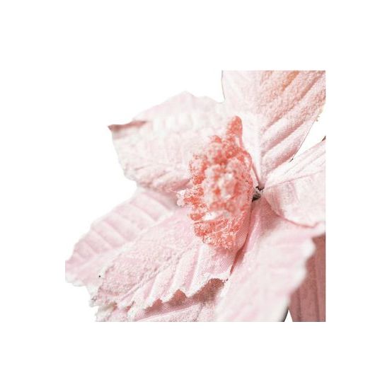 Shop For 20” Pink Sugared Poinsettia Stem at Michelle's aDOORable Creations