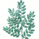 Shop For 22" Honey Locust Glitter Spray: Peacock Green at Michelle's aDOORable Creations