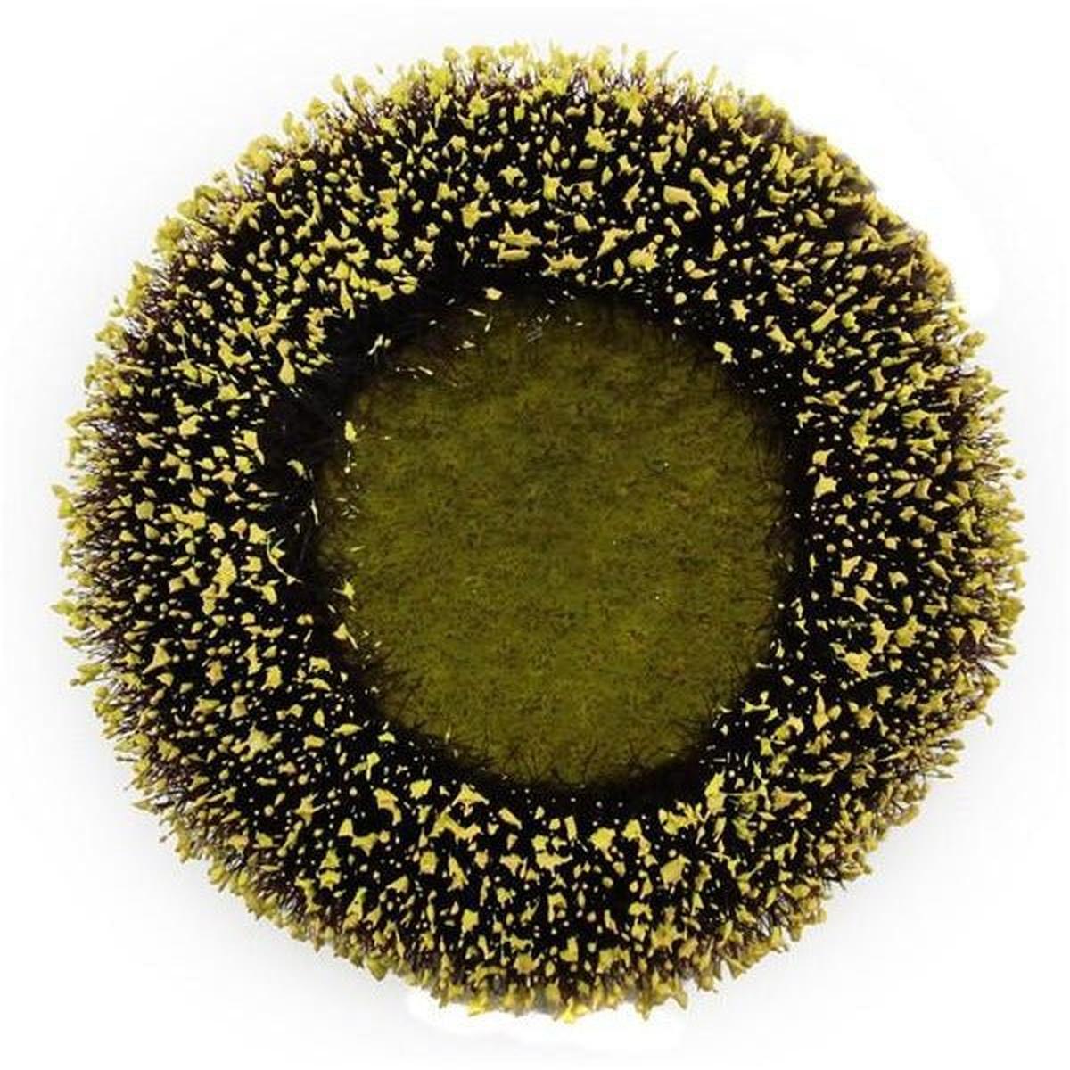 Shop For 4.25" Sunflower Flower Center: Yellow/Black at Michelle's aDOORable Creations