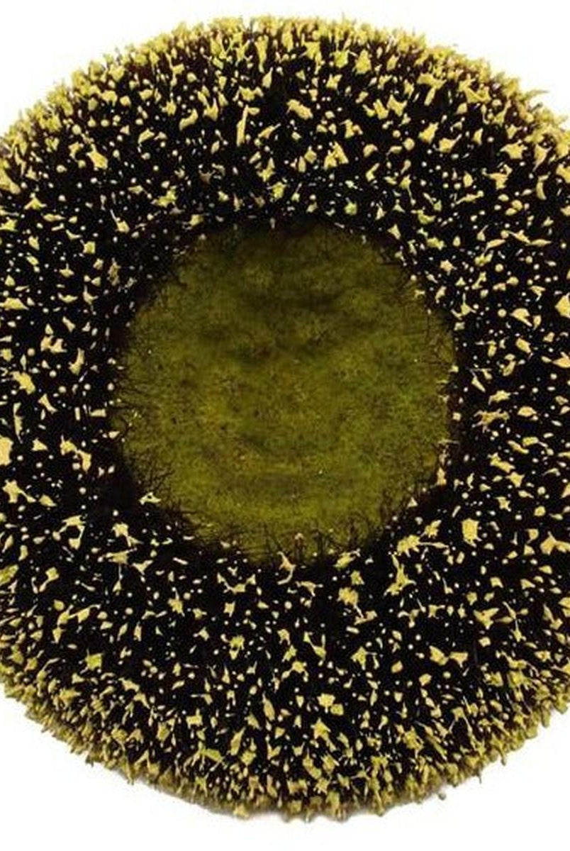 Shop For 5" Sunflower Flower Center: Yellow/Black at Michelle's aDOORable Creations