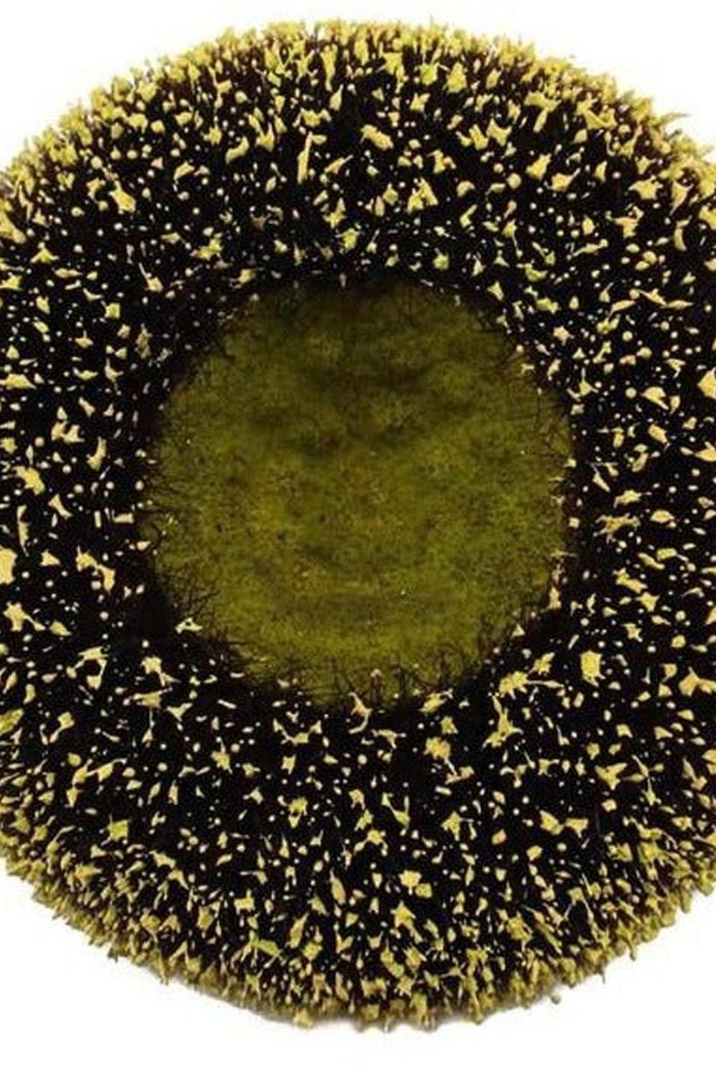 Shop For 5" Sunflower Flower Center: Yellow/Black at Michelle's aDOORable Creations