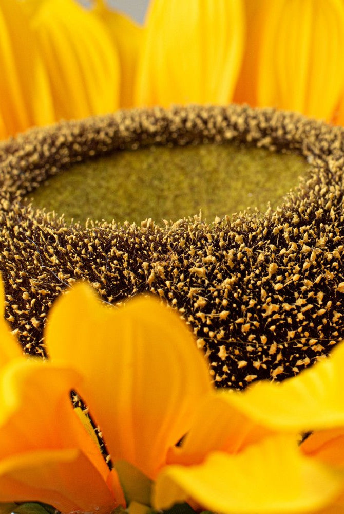 Shop For 5" Sunflower Head at Michelle's aDOORable Creations